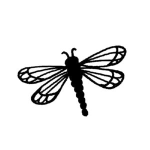 A 2253 Small Dragonfly