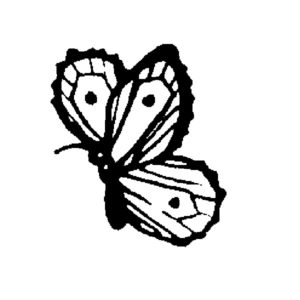 BIT 86 - Butterfly #5