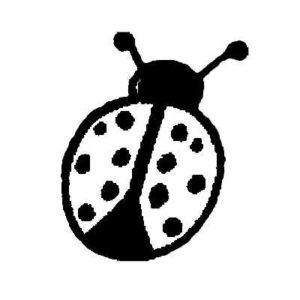 BIT 126 Lady Bug