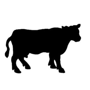 BIT 177 Cow