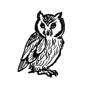 BIT 189 Owl