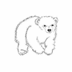 BIT 38 Polar Bear