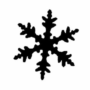 BIT 48 Snowflake Plain