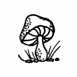 BIT 7 Mushroom