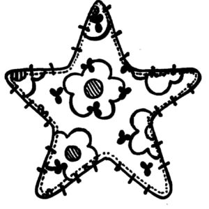 C 2341 Star Patch