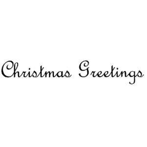 C 2020 Christmas Greetings