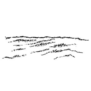 C 2239 Foreground - Waves