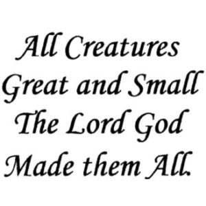 D 432 All Creatures