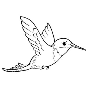 E 272 Lg. Hummingbird
