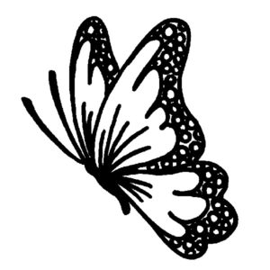 E 2215 Side Starburst Butterfly