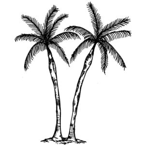 F 2340 Palm Pair