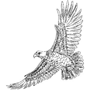 G 726 Eagle