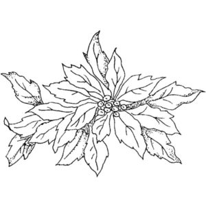H 869 Small Poinsettia
