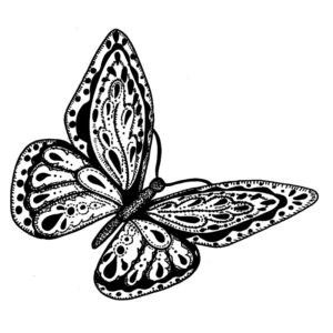 I 2389 Roseanna Butterfly
