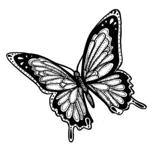 I 2390 Whitney Butterfly