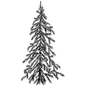 L 613 Pine Tree #4