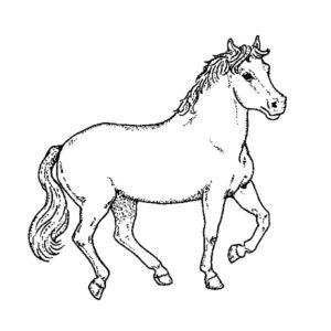 H 2150 Trotting Horse