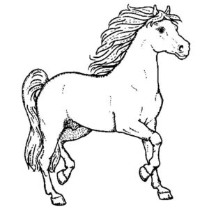 H 2152 Galloping Horse