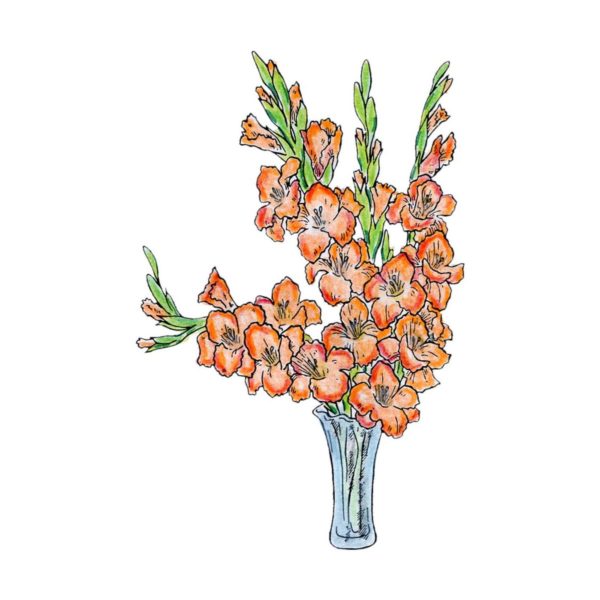 217C Glads in Vase