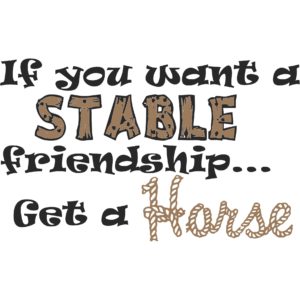 J 2578 Stable Friendship colored
