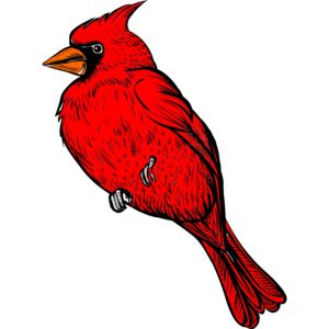A 2593 Mini Male Cardinal colored