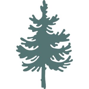 Die 6056 Lodgepole Pine Colored