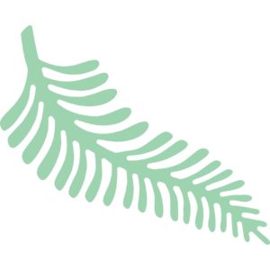 Die 6058 Feather Fern colored