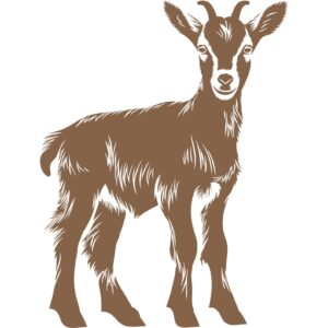 G 2770 Baby Goat