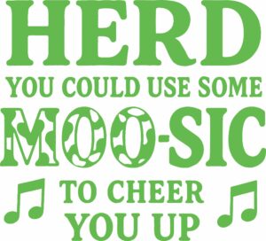 N 2899 Herd Some Music