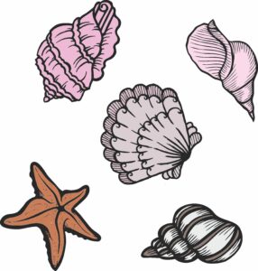 SD 2885 Stamp & Die Set - Seashells